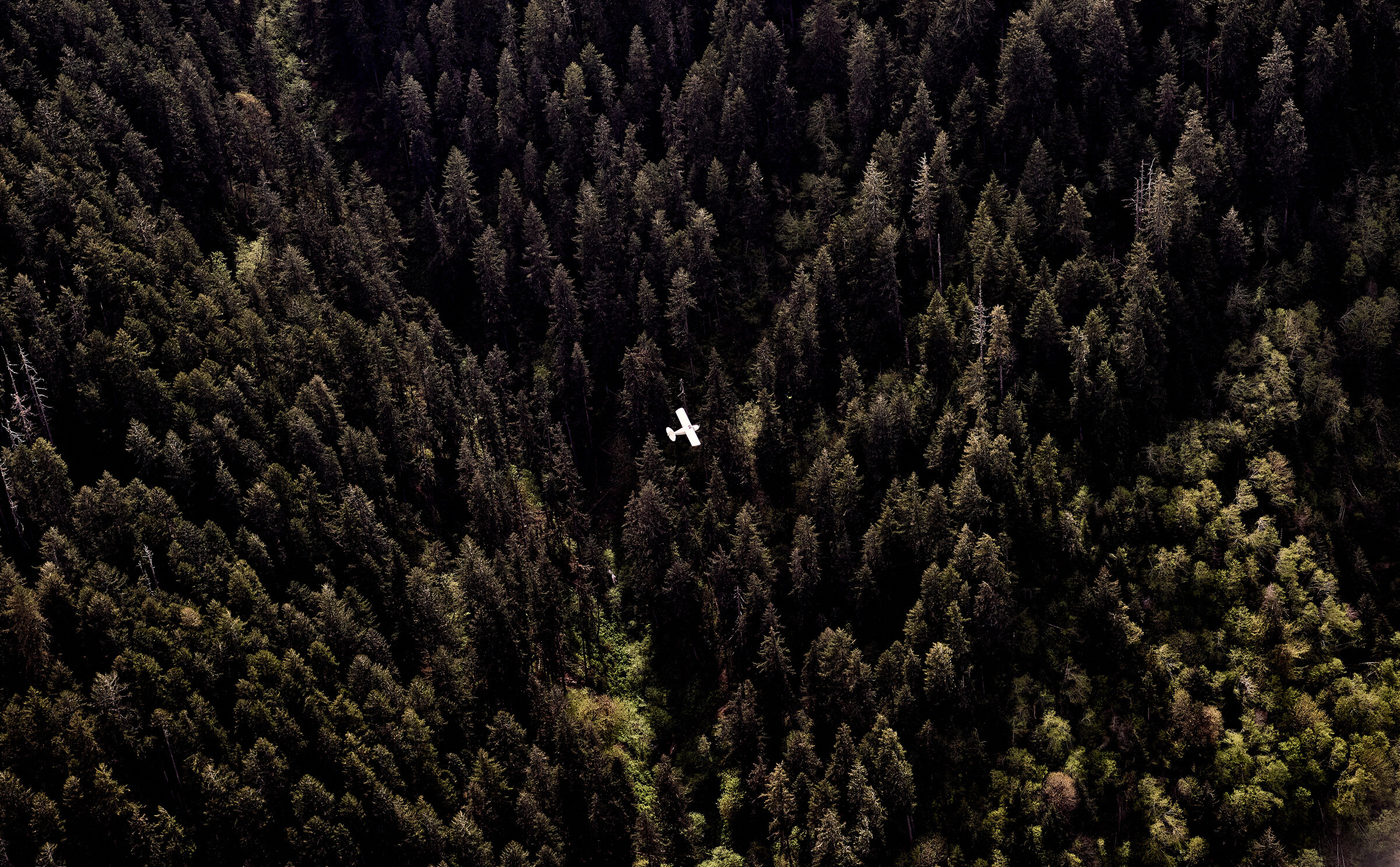 N4770A — Oregon